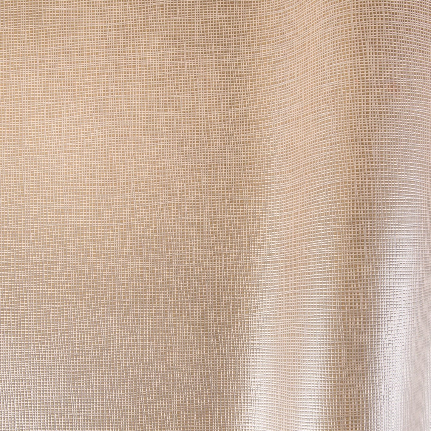 Cage/Pelle intera anilina bovina europea