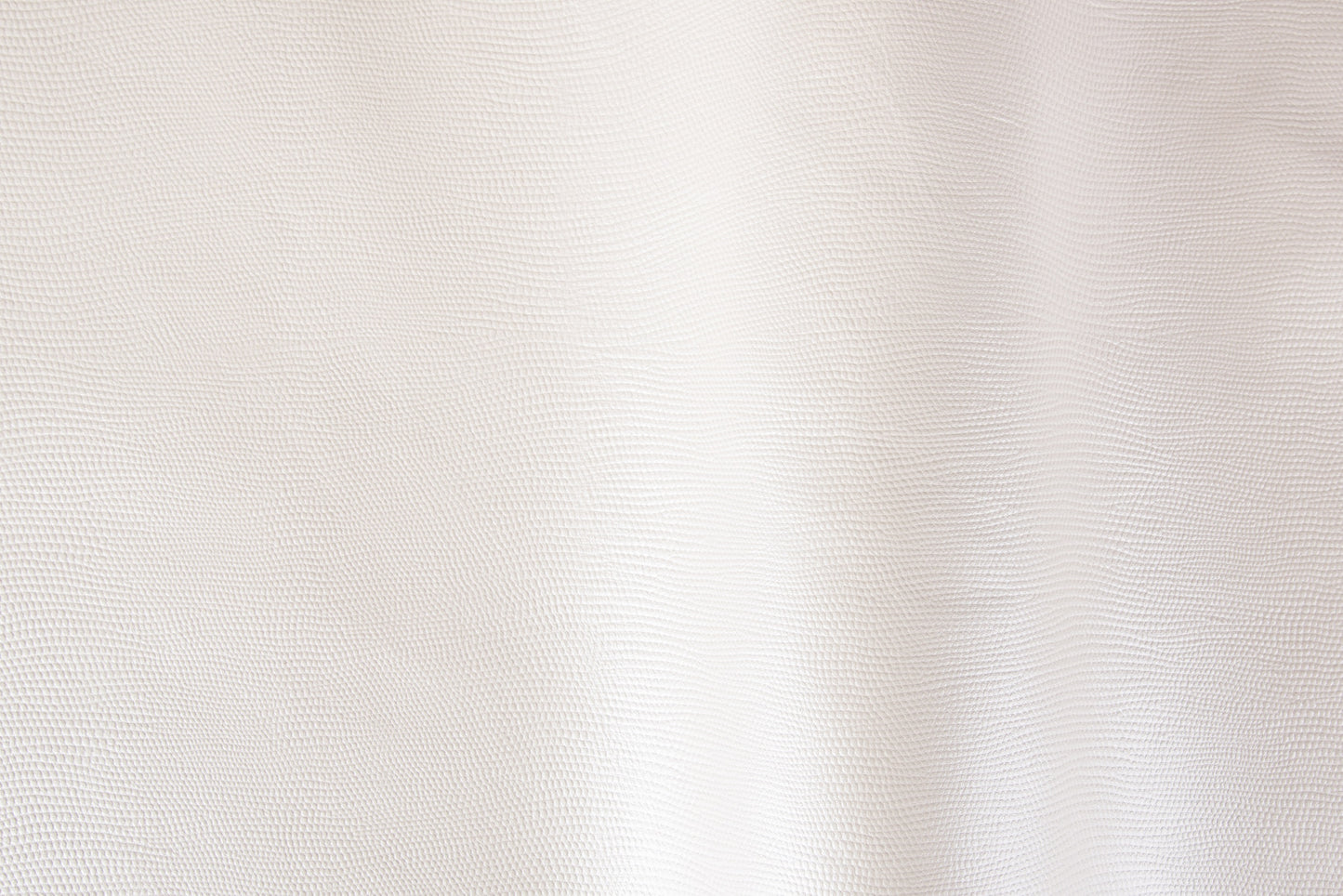 Iguana/Pelle intera bovina europea