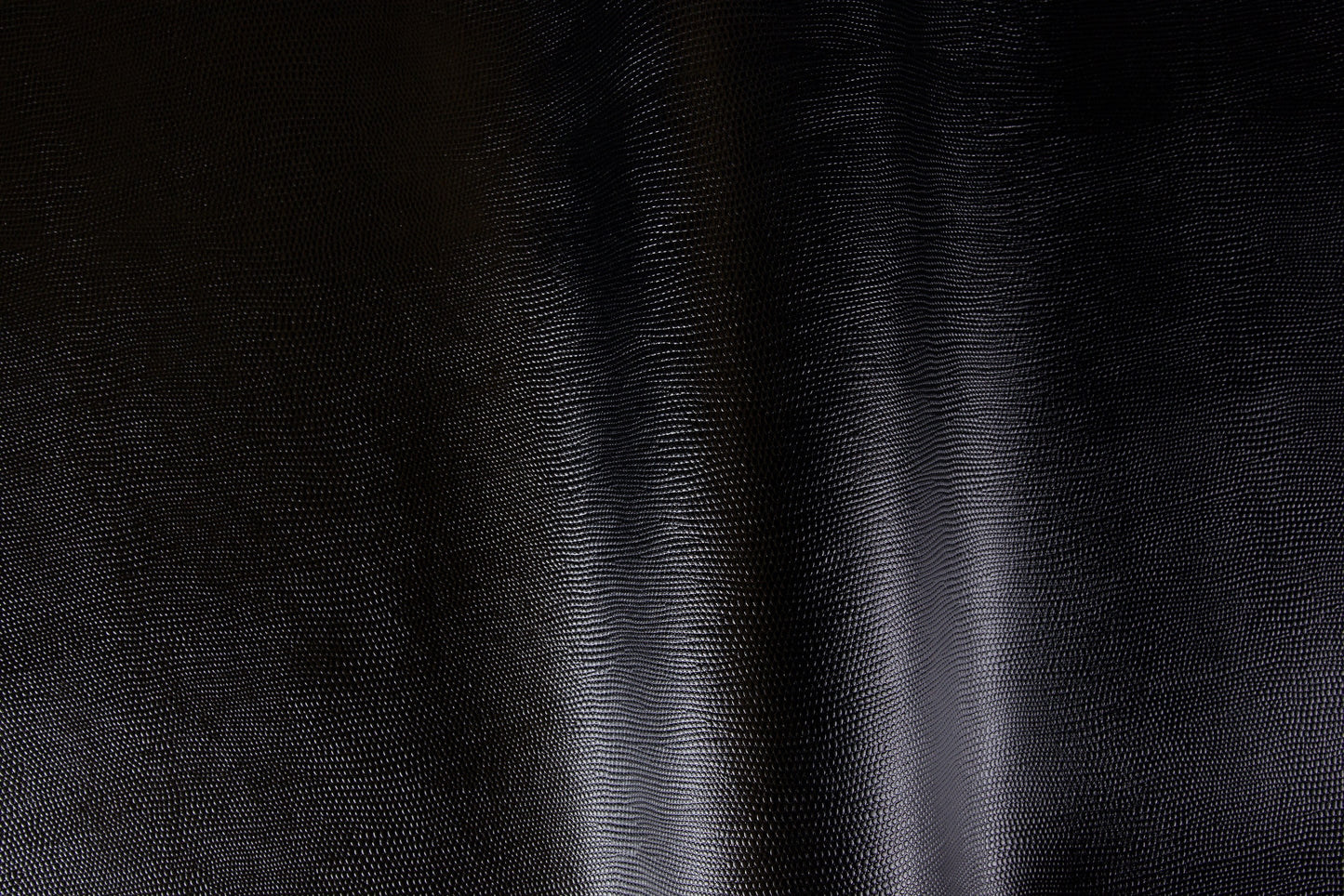 Iguana/Pelle intera bovina europea