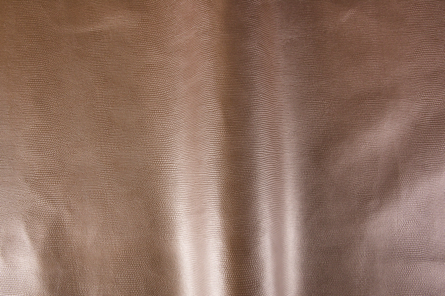 Iguana/Pelle intera bovina europea