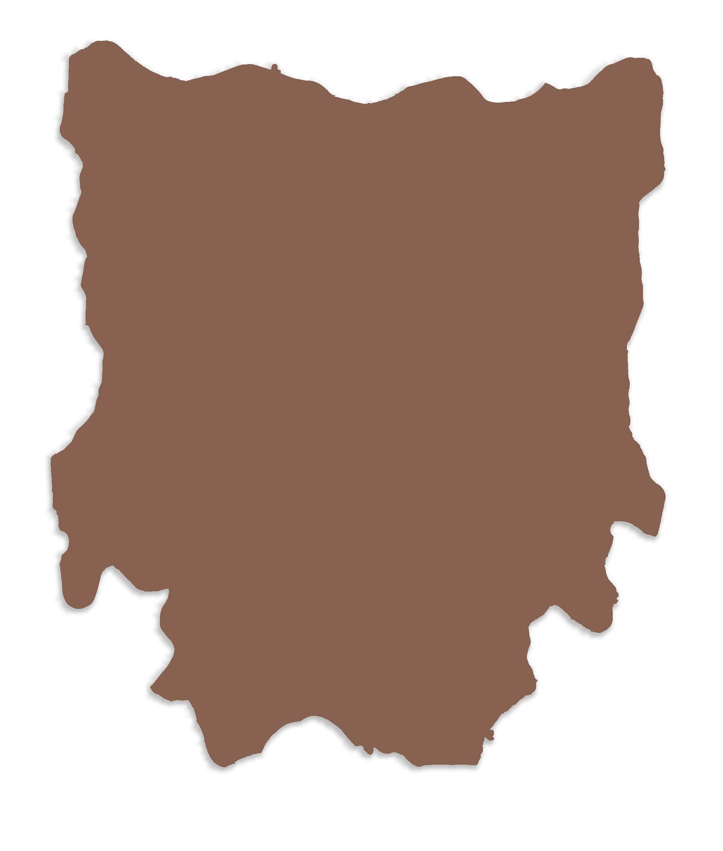 Iguana/Pelle intera bovina europea