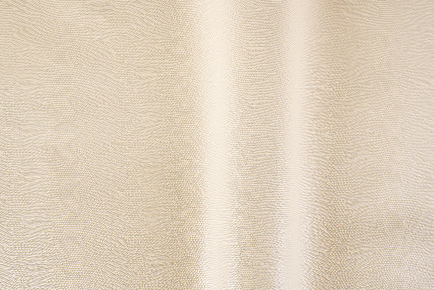 Iguana/Pelle intera bovina europea