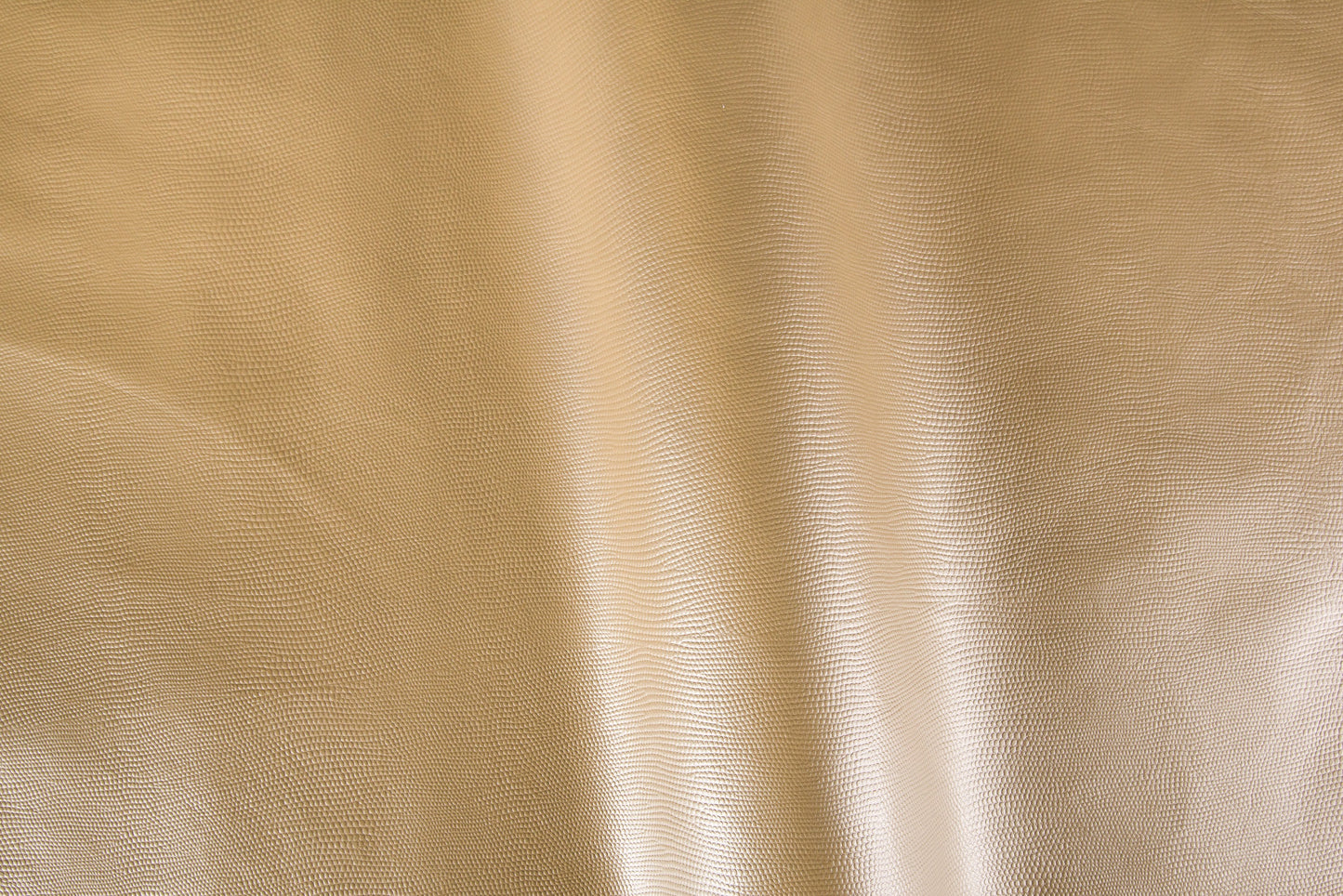 Iguana/Pelle intera bovina europea