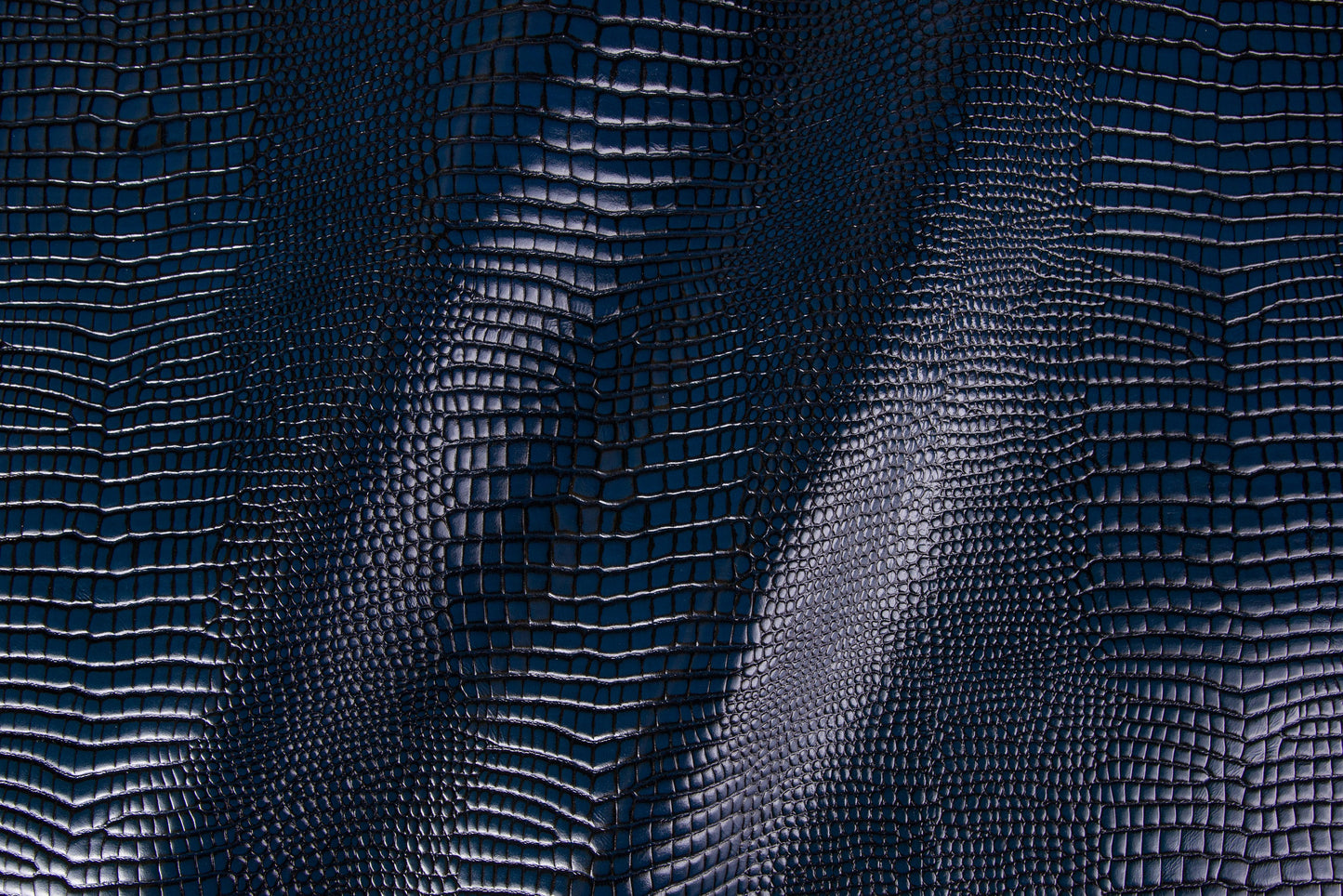 Lizard/Pelle intera anilina bovina europea