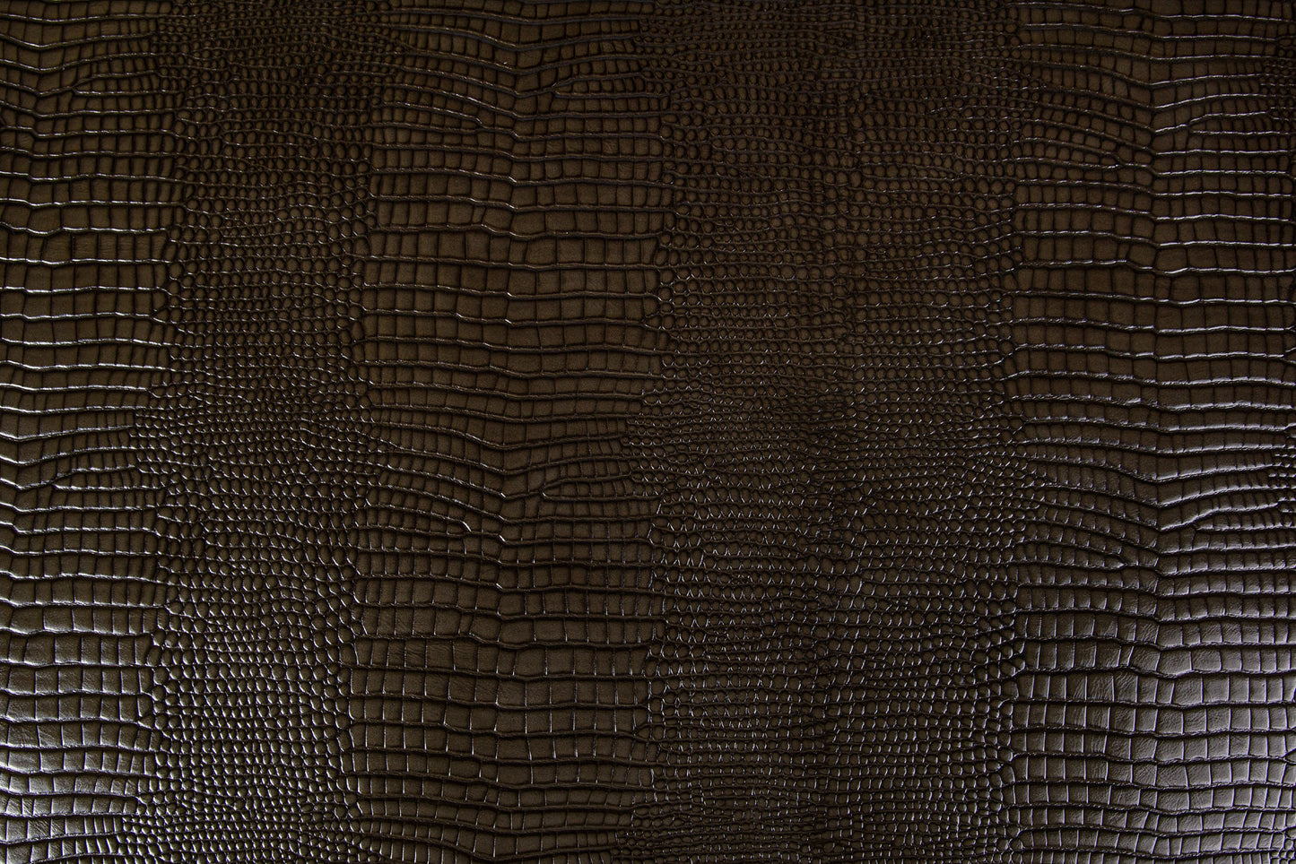 Lizard/Pelle intera anilina bovina europea