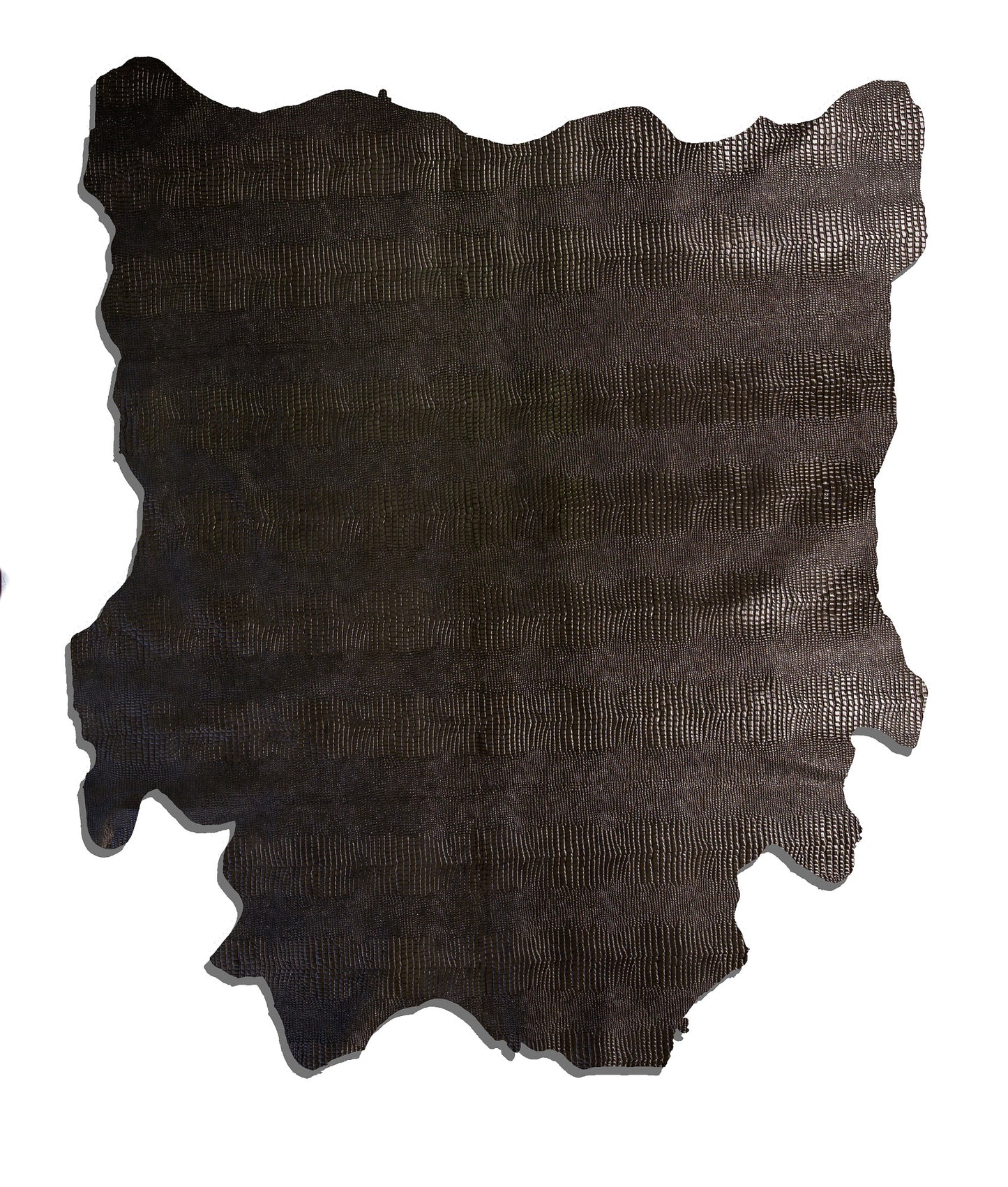 Lizard/Pelle intera anilina bovina europea