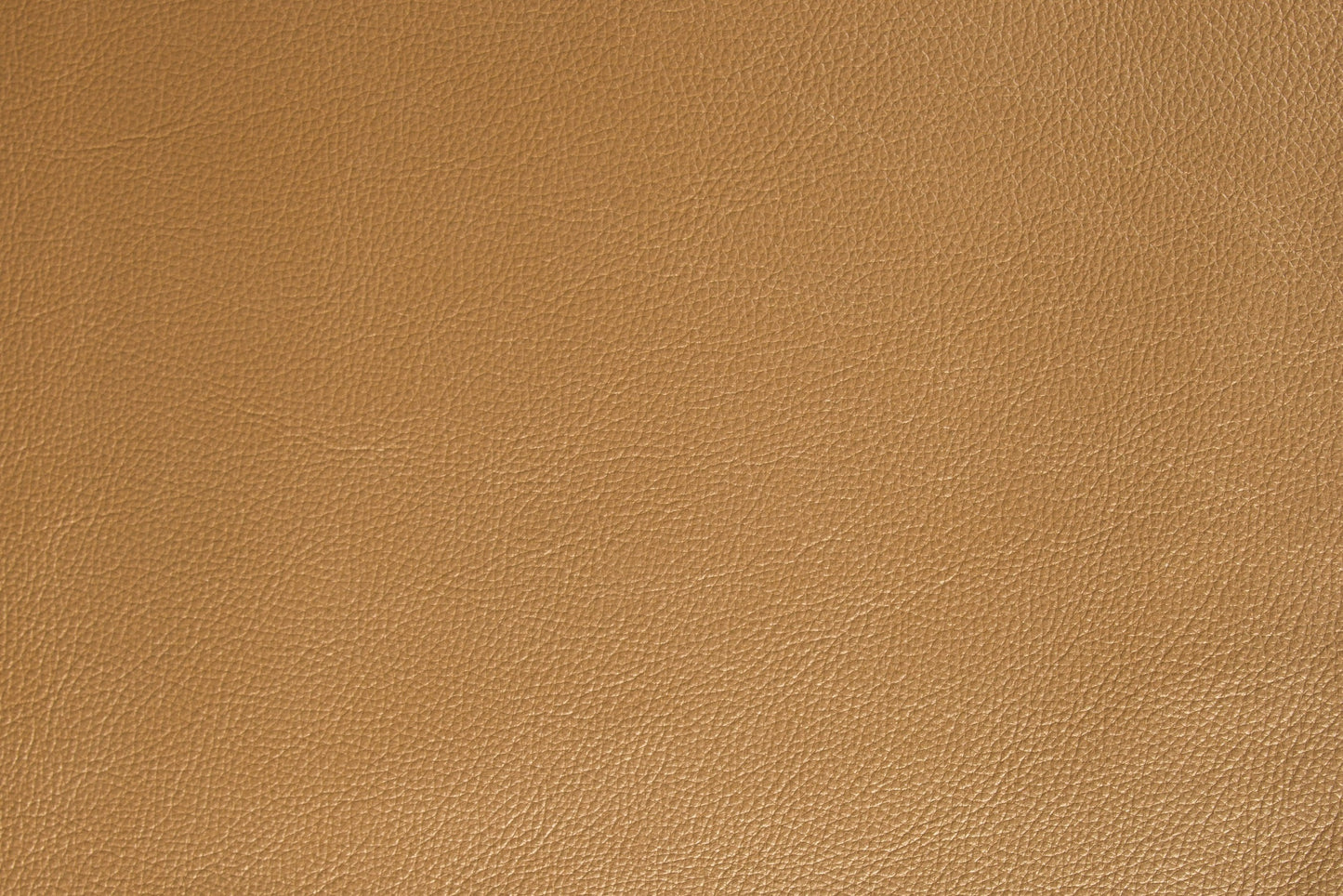 Natur/Pelle intera anilina bovina europea