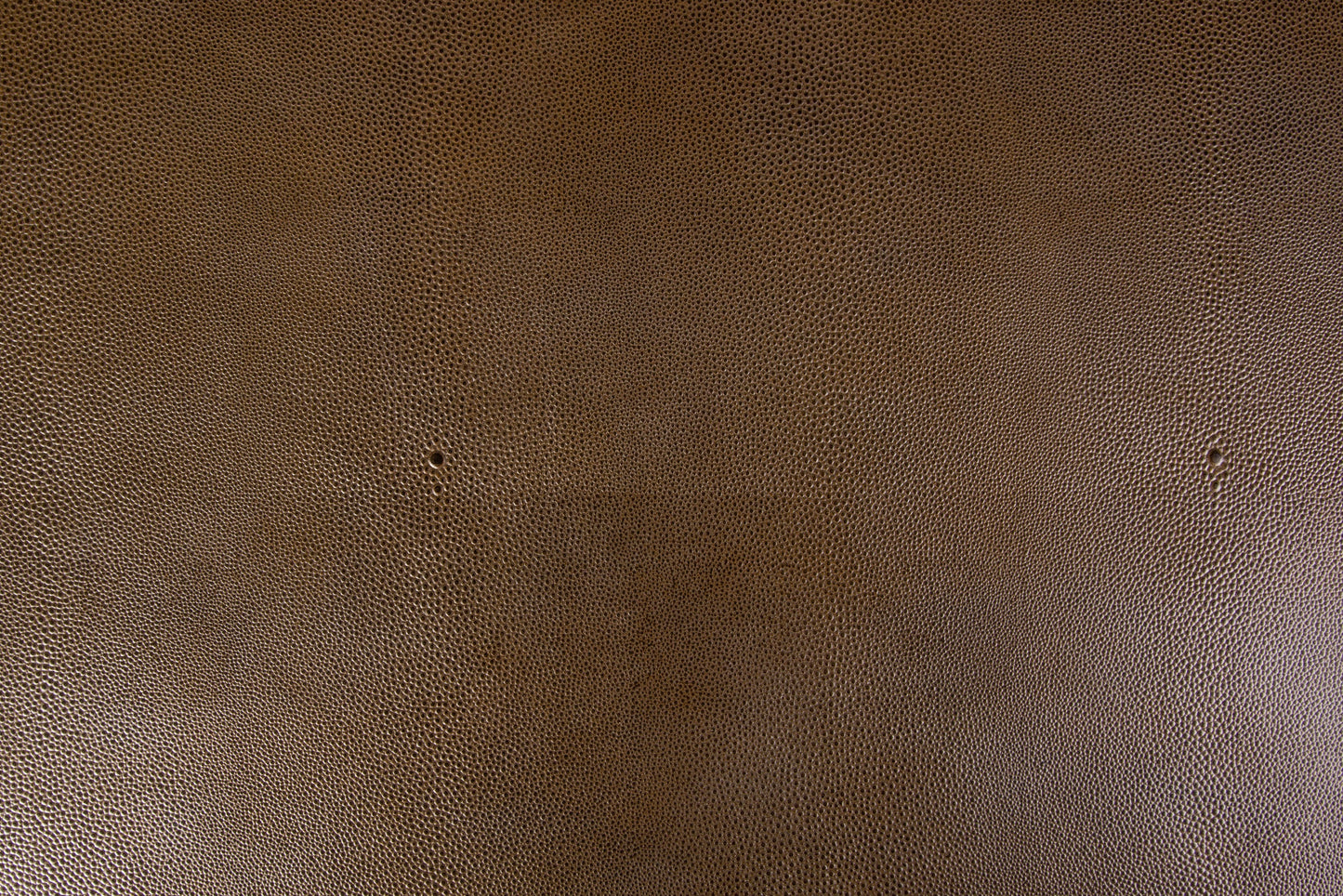 Stingray/Pelle bovina europea esotica