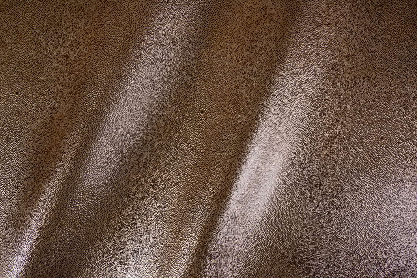 PRODITAL LEATHERS Stingray/Piel entera anilina bovina origen europeo