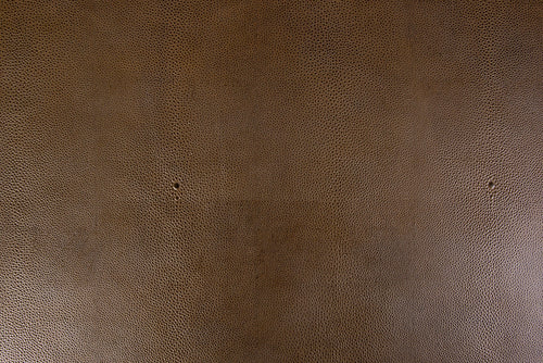 Stingray/genuine aniline dyed full hide leather